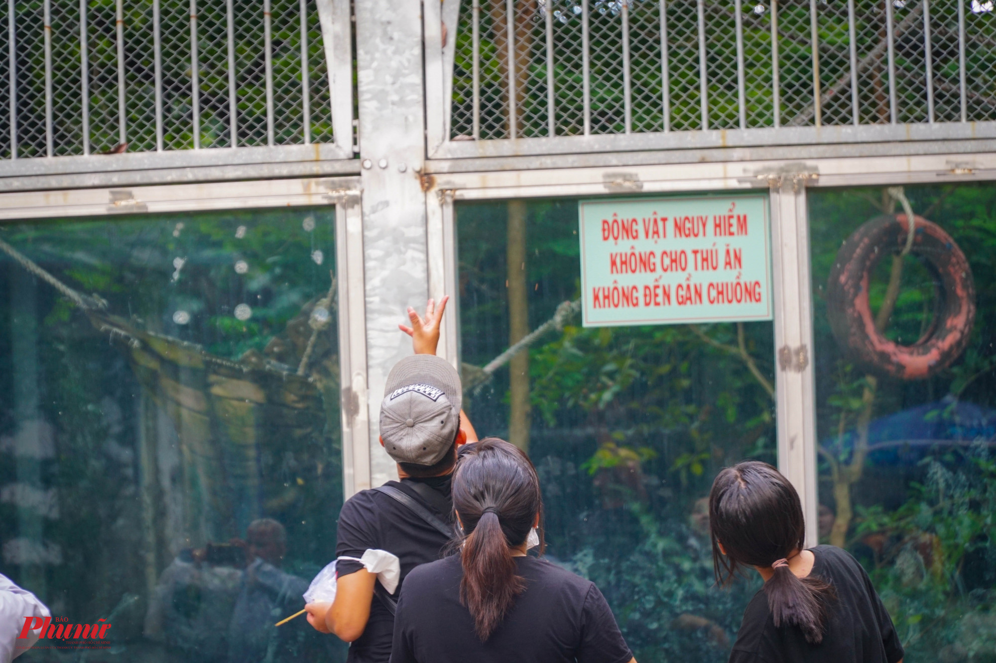Rất nhiều du khách vô tư ném thức ăn vào chuồng thú