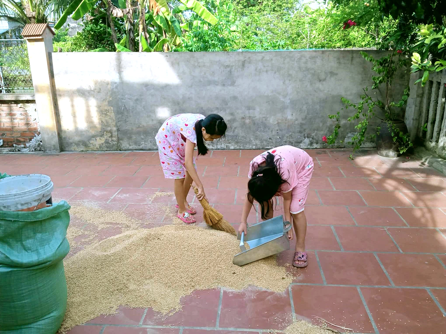 Hai con gái dọn thóc giúp ông bà ngoại