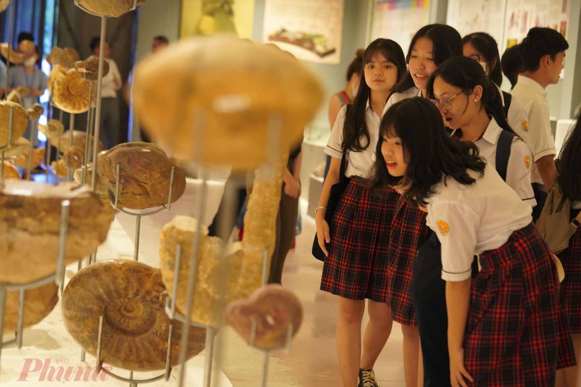 Học sinh Huế đến tìm hiều về lĩnh vực cổ sinh vật học tại triển lãm