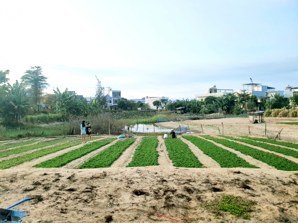 Một khu đất được quy hoạch làm công viên ở khu đô thị Phú Mỹ An bị bỏ hoang nhiều năm nay - ẢNH: LÊ ĐÌNH DŨNG