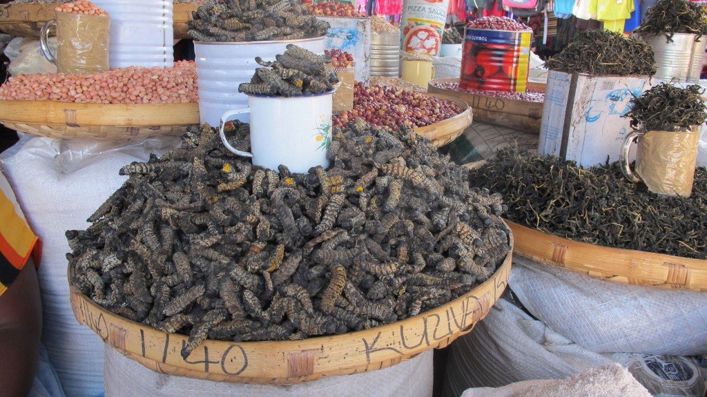 Sâu bướm mopane được bày bán rộng rãi ở nhiều khu chợ địa phương ở châu Phi - Ảnh: bio-innovation