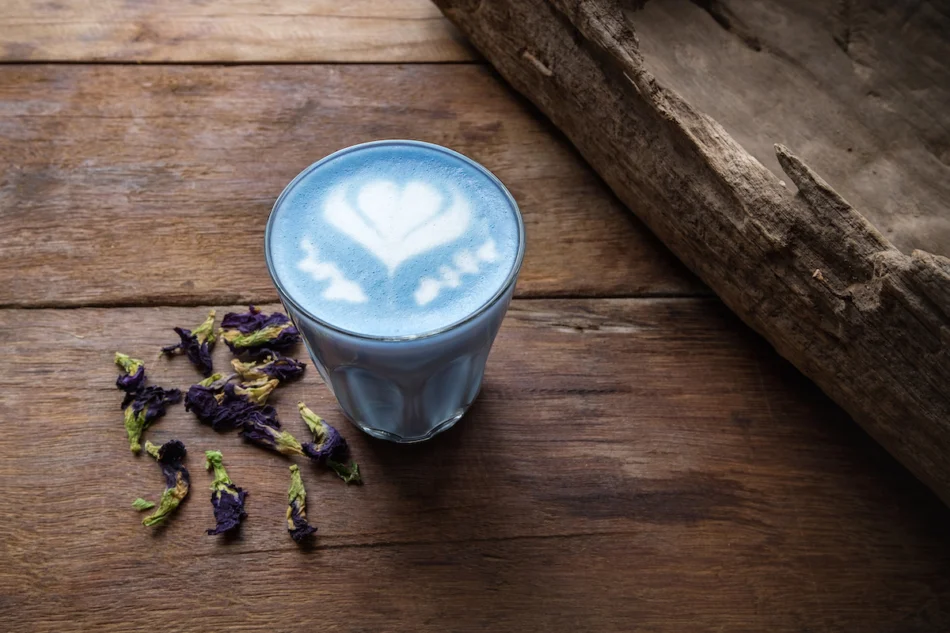 Butterfly Pea Latte (xanh / tím): Một ly latte hạt đậu đầy màu sắc chắc chắn sẽ làm bừng sáng cả ngày của bạn. Hạt đậu bướm được làm từ hoa  Clitoria ternatea khô và sau đó được tán thành bột để có thể dễ dàng pha thành thức uống. Điều làm cho thức uống này trở nên hấp dẫn là khả năng thay đổi màu sắc tùy thuộc vào độ ph của nó. Nó rất dễ bị ảnh hưởng bởi sự thay đổi nồng độ axit, vì vậy thêm một loại axit, như nước chanh, sẽ tạo ra một mẹo thay đổi màu sắc kỳ diệu, biến nó từ màu xanh tuyệt đẹp sang màu tím.  Hoa đậu bướm có hương vị nhẹ nhàng, tương tự như trà xanh, và thường được kết hợp với chanh hoặc sả và sau đó được làm ngọt. Loại latte siêu thực phẩm này có nhiều chất chống oxy hóa, chứa các đặc tính chống viêm và chống lão hóa, thúc đẩy sức khỏe não bộ và tăng cường năng lượng. Để pha một ly latte trà bướm, hãy ngâm một thìa cà phê hoa vào quả bóng trà trong năm phút, hương vị màu xanh lam sẽ đậm hơn và hương vị đậm đà hơn khi ngâm lâu hơn. Hấp sữa bạn chọn và đổ lên trên trà của bạn. Mưa phùn với mật ong hoặc chất tạo ngọt tùy bạn chọn.