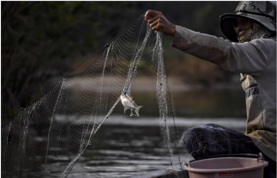 Một ngư dân rà lưới dọc sông Mekong ở tỉnh Nong Khai, đông bắc Thái Lan.