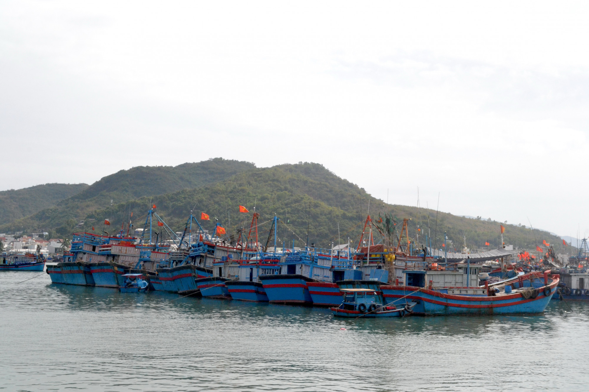Các tàu cá neo đậu tại Cảng Hòn Rớ, TP. Nha Trang, tỉnh Khánh Hòa. Ảnh minh họa