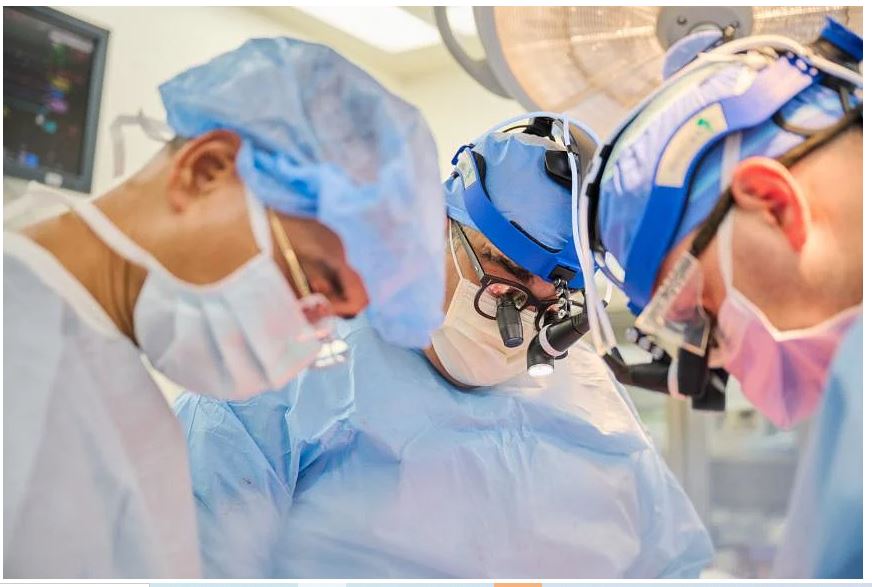 Các bác sĩ tại NYU đã thực hiện hai ca ghép tim lợn thành công ở người nhận chết não