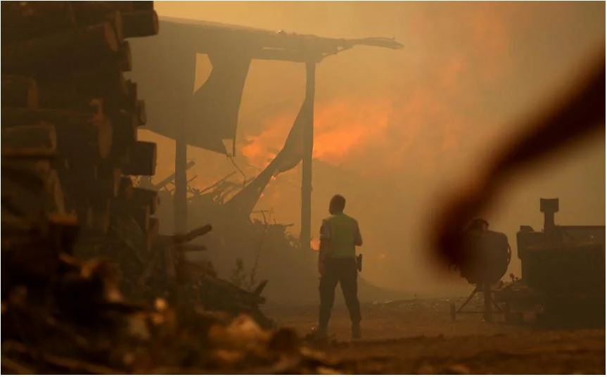 Cháy rừng hoành hành ở Leiria, Bồ Đào Nha, ngyaf 13/7.