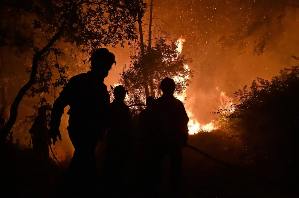 Lính cứu hỏa xử lý đám cháy rừng ở vùng Ourém, Bồ Đào Nha