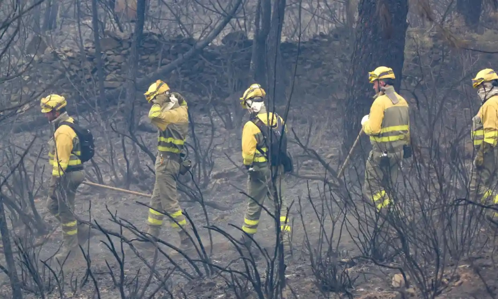 Lực lượng cứu hỏa làm việc để dập tắt đám cháy rừng ở Monsagro, Salamanca, Tây Ban Nha ngày 13/7.