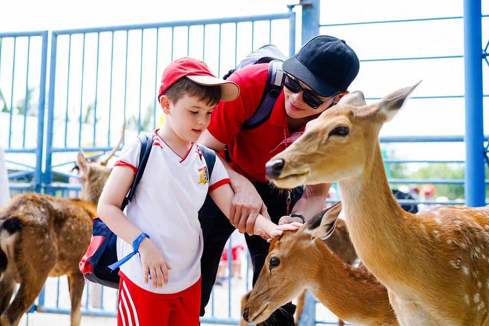 Thỏa sức tương tác những chú hươu sao tại Vườn thú Mỹ Quỳnh (Long An) - Ảnh: Royal School
