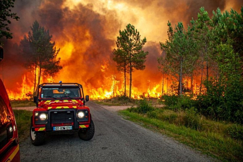 Khung cảnh cây cối bốc cháy giữa trận cháy rừng gần Landiras, Pháp.