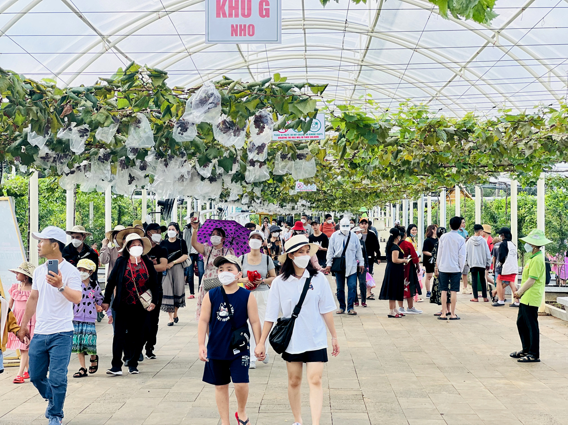 Rất đông khách tham quan Khu du lịch Suối Tiên trong ngày Chủ nhật (17/7), nhiều nhất là ở các khu biểu diễn nghệ thuật, nông trại… - ẢNH: Q.THÁI