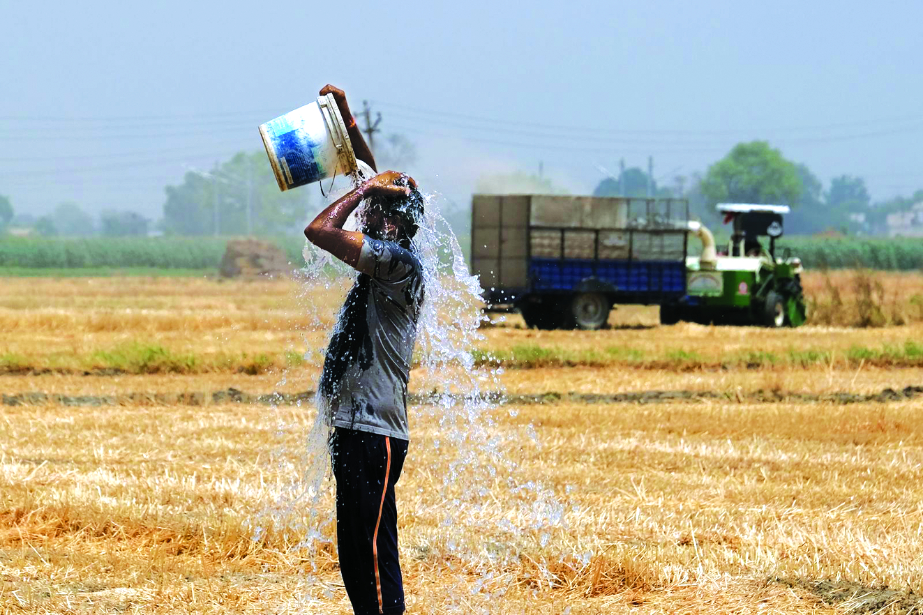 Một nông dân trên cánh đồng lúa mì ở Q.Ludhiana, bang Punjab, Ấn Độ đang dùng nước để hạ nhiệt cơ thể - ẢNH: BLOOMBERG