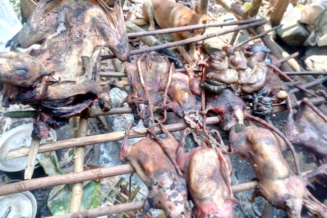 Dù bị cấm, nhiều người vẫn đi săn thú rừng để phục vụ cho nhu cầu ăn thịt rừng. Trong ảnh: Thú rừng được hong khô ngay tại chỗ khi mới săn được