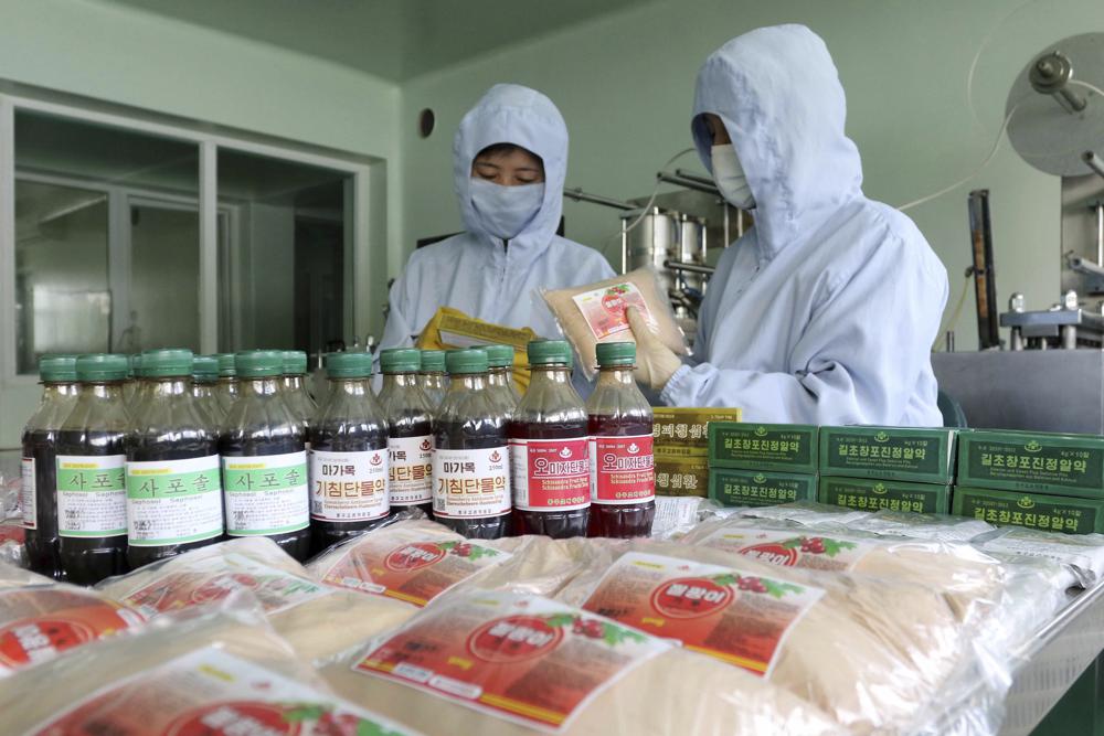 Nhân viên của Nhà máy Dược phẩm Junggu Koryo Medicine sản xuất thuốc Koryo ở Bình Nhưỡng