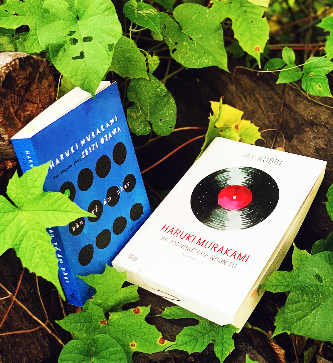 Hai tác phẩm Haruki Murakami và âm nhạc của ngôn từ và Bàn về âm nhạc