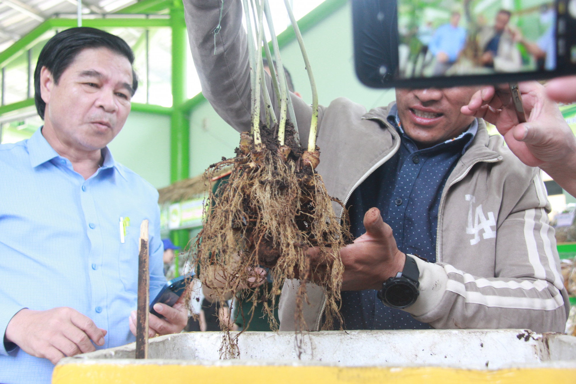 Sâm Ngọc Linh có giá trị rất lớn trên thị trường, đem lại lợi ích kinh tế cao cho bà con Xê Đăng dưới dãy Ngọc Linh. Tuy nhiên, việc phát triển cây sâm hiện nay vẫn chưa tướng xứng với tiềm năng