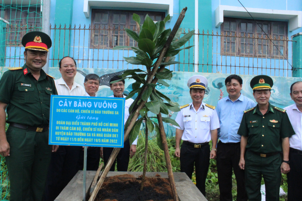 Các đại biểu trồng cây bàng vuông tại xã đảo Thạnh An.