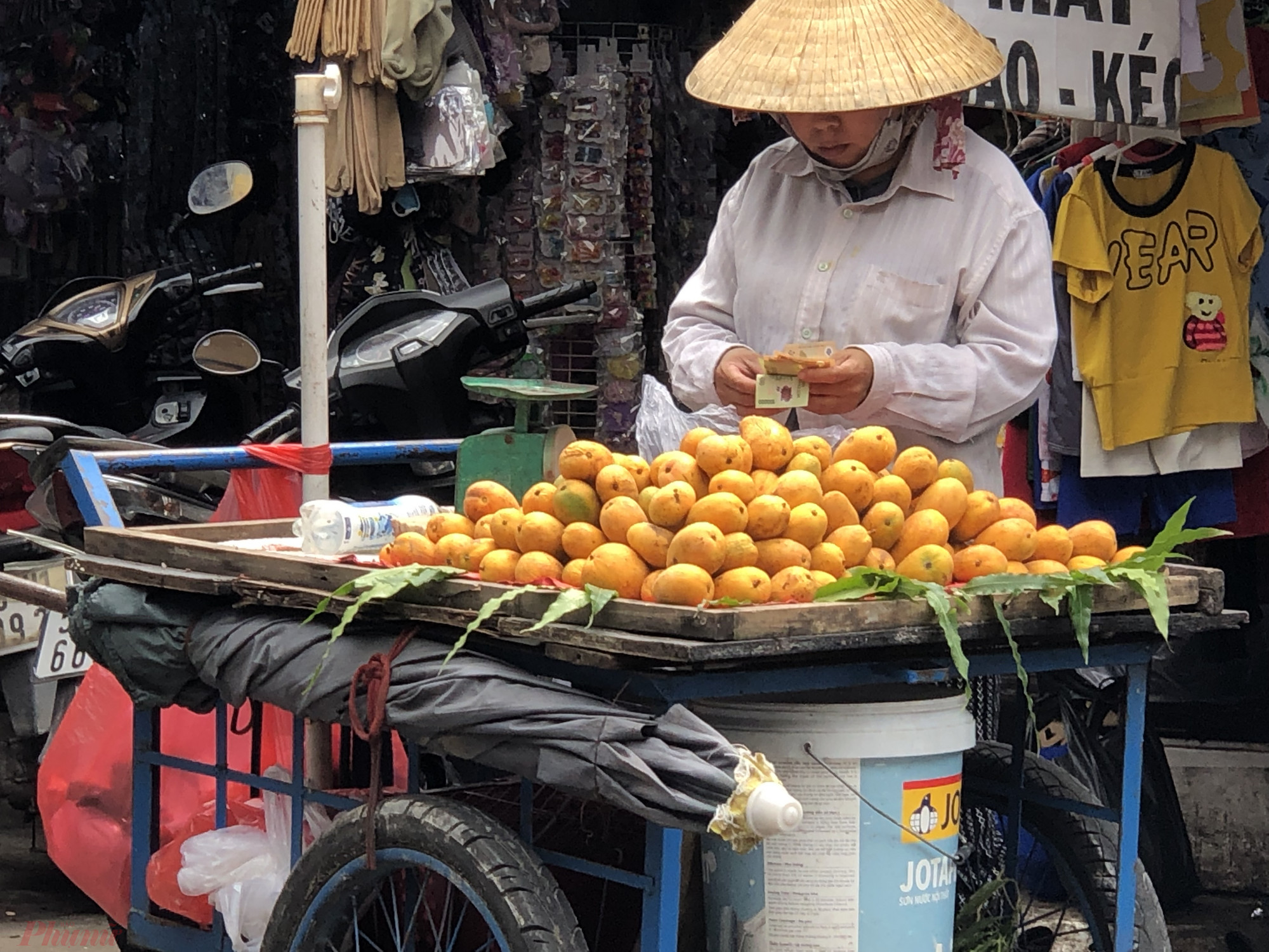 So với một số loại trái cây khác, người bán xoài mút đang kiếm được doanh thu khá hơn. Ảnh Thanh Hoa. 