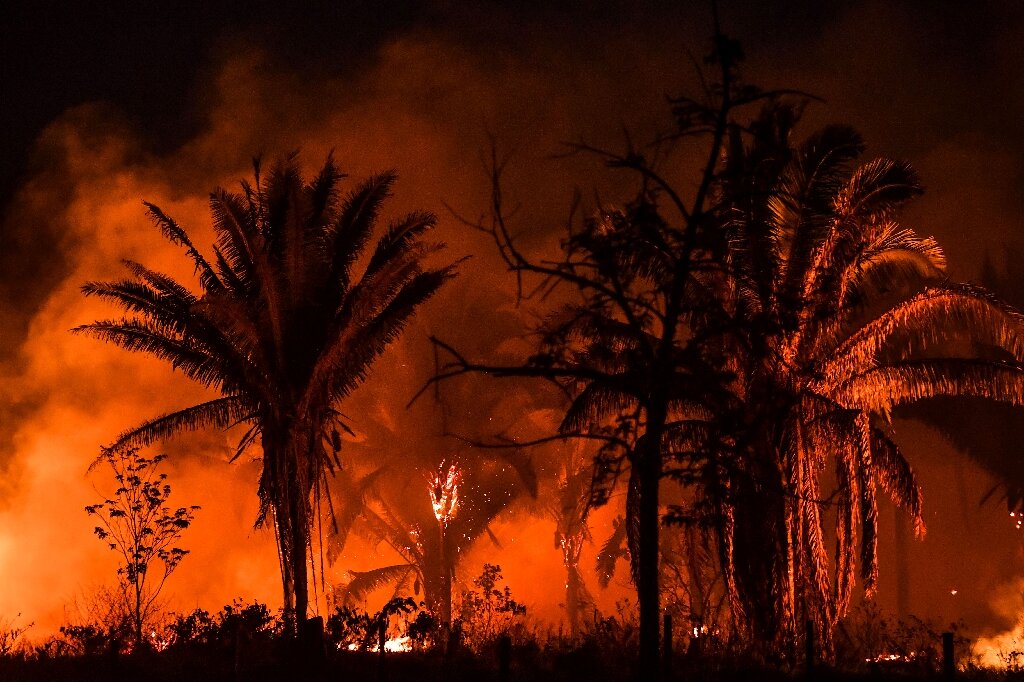 Hơn 24.000 vụ cháy rừng đã được báo cáo từ đầu tháng đến nay ở Brazil.