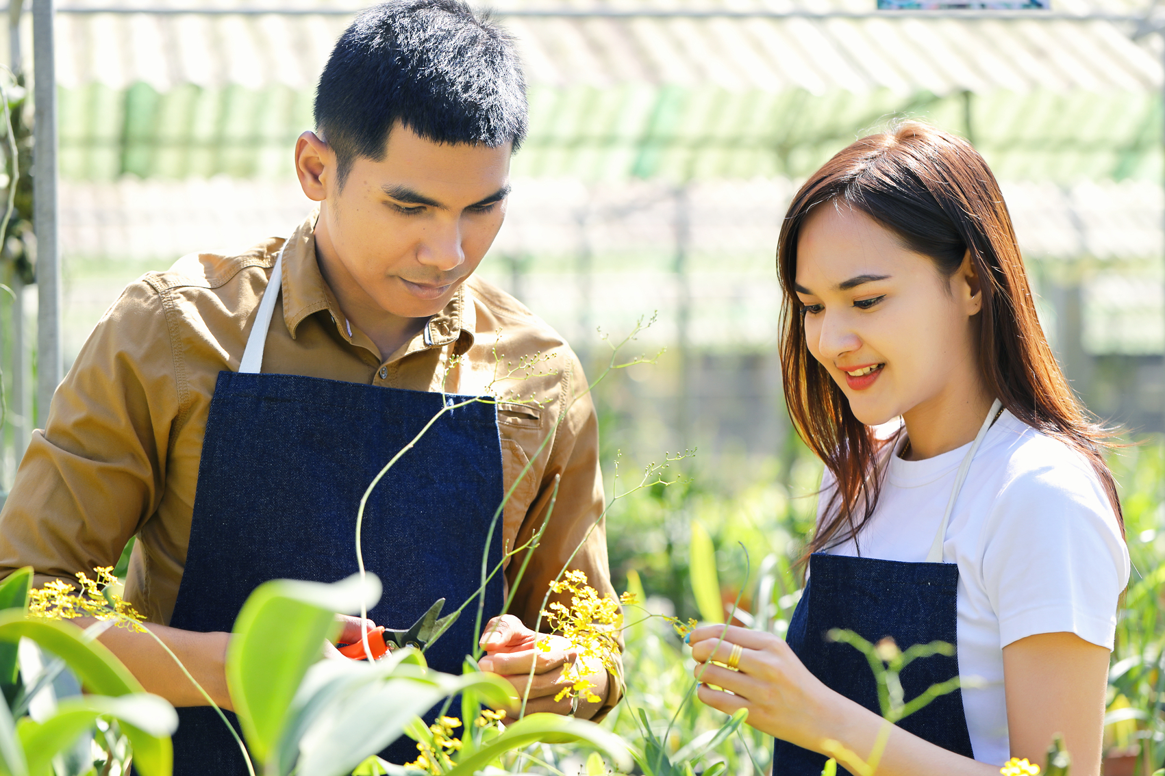 Ảnh mang tính minh họa - SHUTTERSTOCK