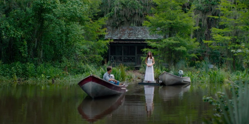 Phim xoay quanh cuộc sống của cô gáo vùng đầm lầy Kya Clark 