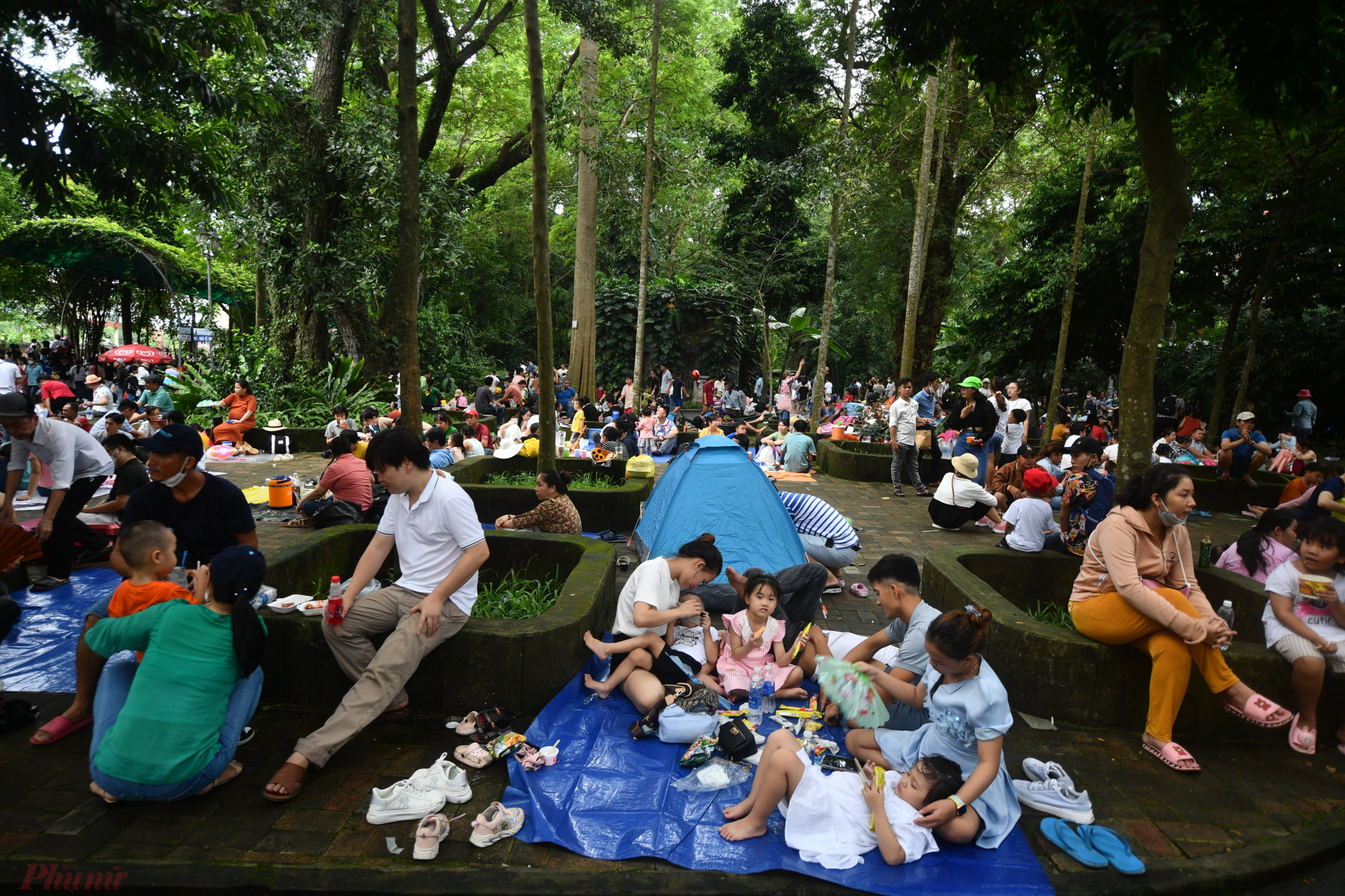 Do thời tiết nắng nóng, nhiều gia đình có trẻ nhỏ phải trải bạt, dựng lều giả chiến để nghỉ trưa ngay trong Thảo Cầm Viên.