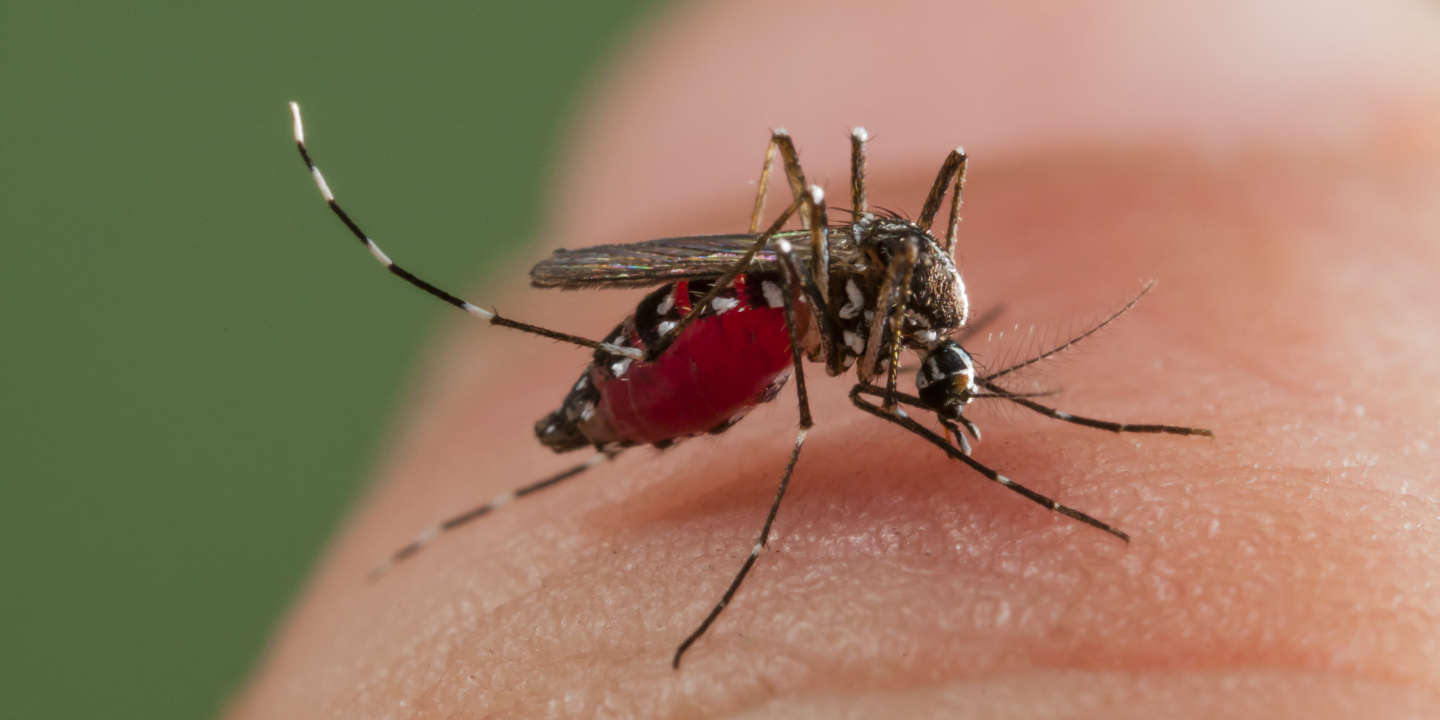 Một lưu ý nghiêm trọng hơn, muỗi không chỉ là loài gây hại khó chịu để lại cho bạn những vết ngứa. Chúng cũng là vật mang các bệnh chết người như sốt rét, vi rút Zika và sốt xuất huyết. Với tỷ lệ mắc bệnh sốt xuất huyết đang gia tăng ở Singapore, điều quan trọng hơn bao giờ hết là phải bảo vệ bản thân và gia đình của bạn.