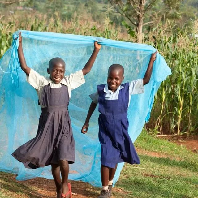 Những chiếc màn chống muỗi như thế này có thể giúp 4 trẻ em ngủ an toàn mà không bị muỗi đốt