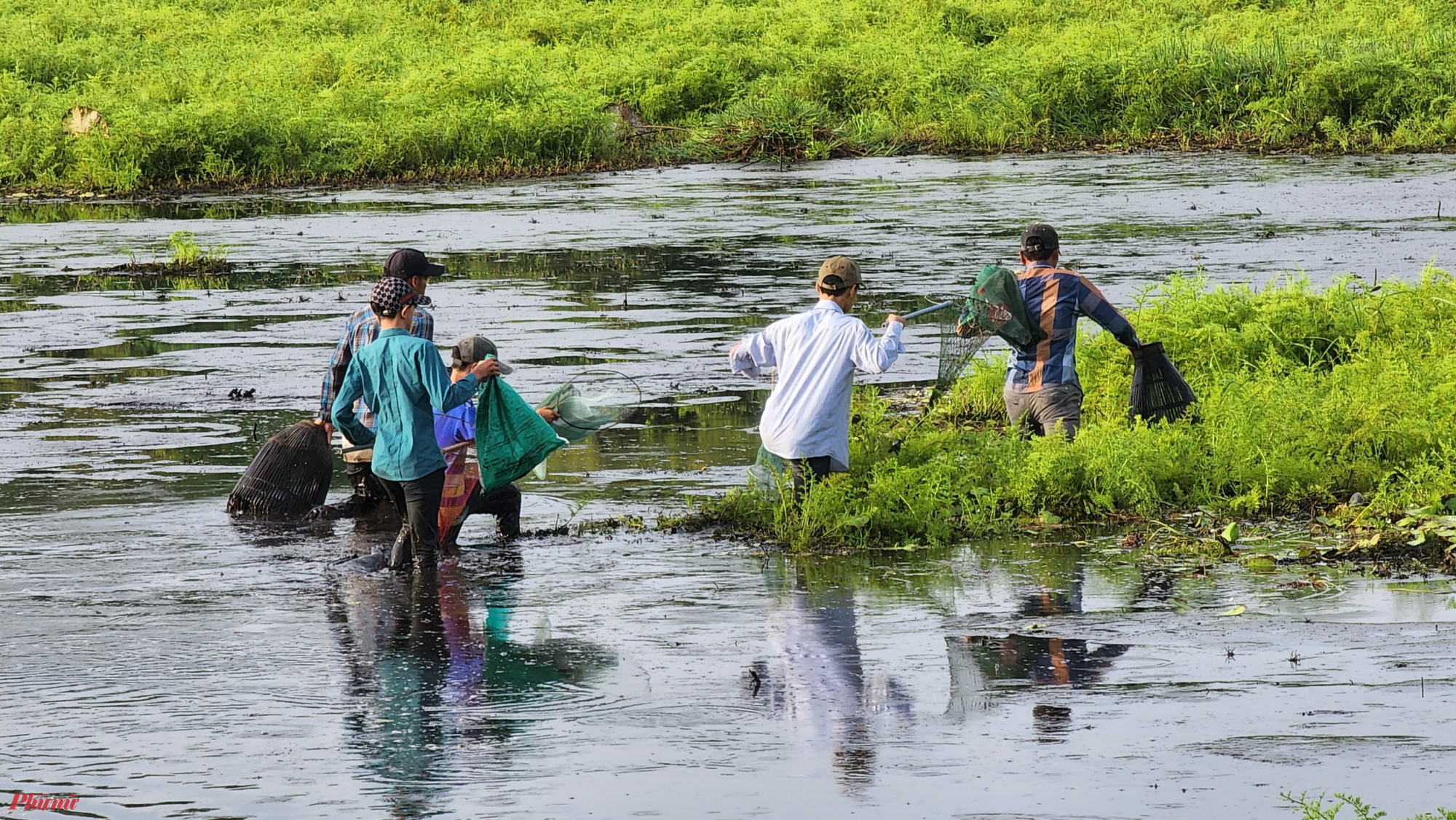 Mỗi năm người dân làng Trà Lộc chỉ mong đến dịp này để bắt cá