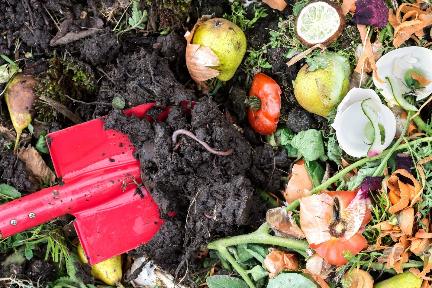 Làm phân trộn của riêng bạn Tiết kiệm trái cây và rau củ quả, báo, cỏ xén và các vật liệu có thể phân hủy khác. Sử dụng chúng để bắt đầu một thùng hoặc đống phân trộn. Thỉnh thoảng thêm một chút nước và đảo đống phân của bạn để đẩy nhanh quá trình ủ phân.