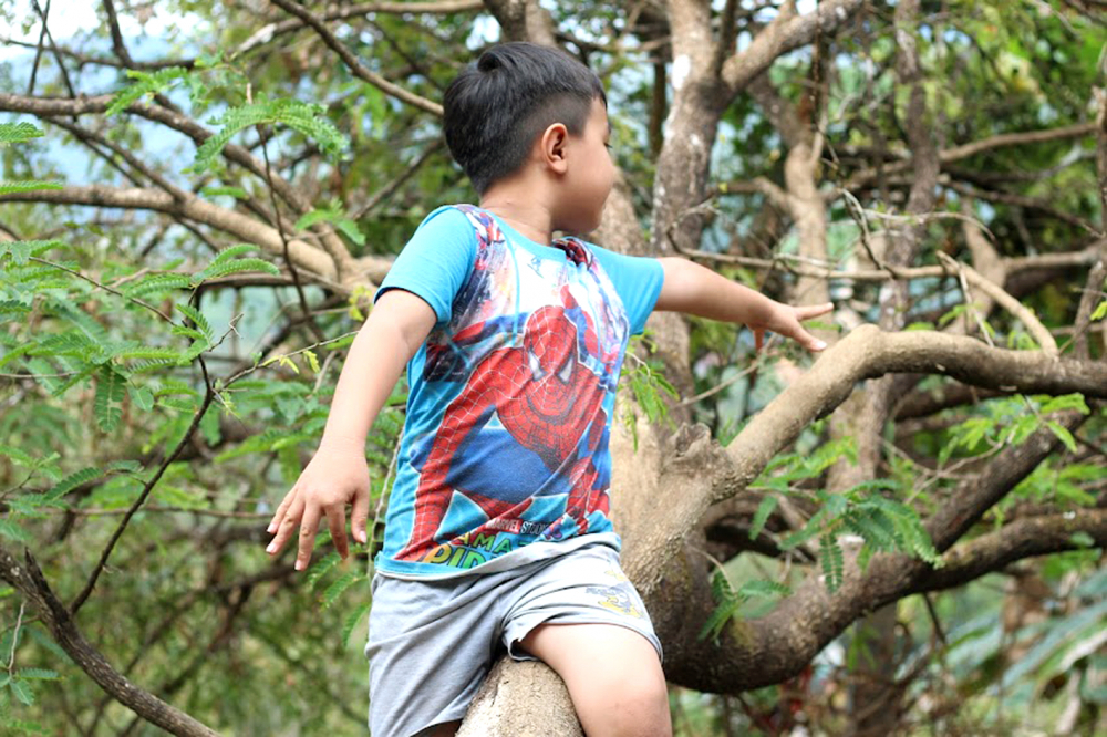 Con trai được  ông ngoại bày cho cách leo cây