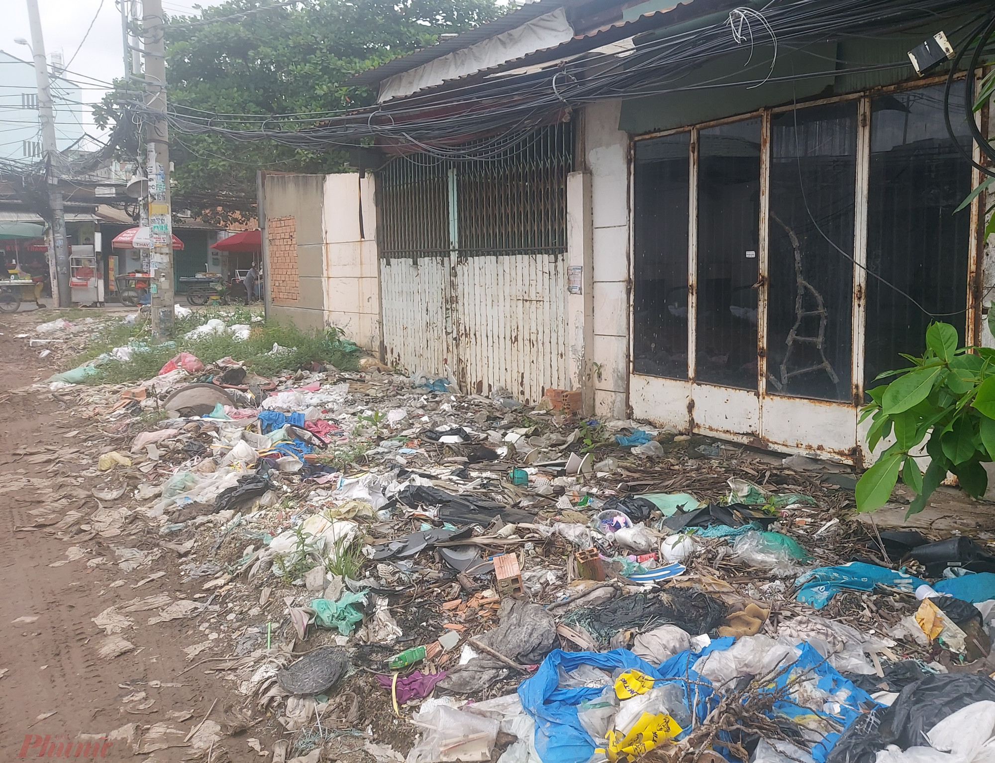 Những căn nhà bỏ hoang đầu hẻm là nơi thường xuyên bị các đối tượng đổ rác trộm nhắm đến.