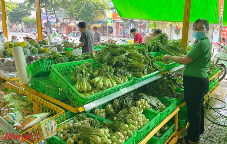 Một nhà cung cấp nấm tươi cho hệ thống Bách Hóa Xanh được cho là đã dùng nấm nhập khâu từ Trung Quốc, thay đổi bao bì, nhãn mác thành hàng trong nước có tiêu chuẩn VietGAP