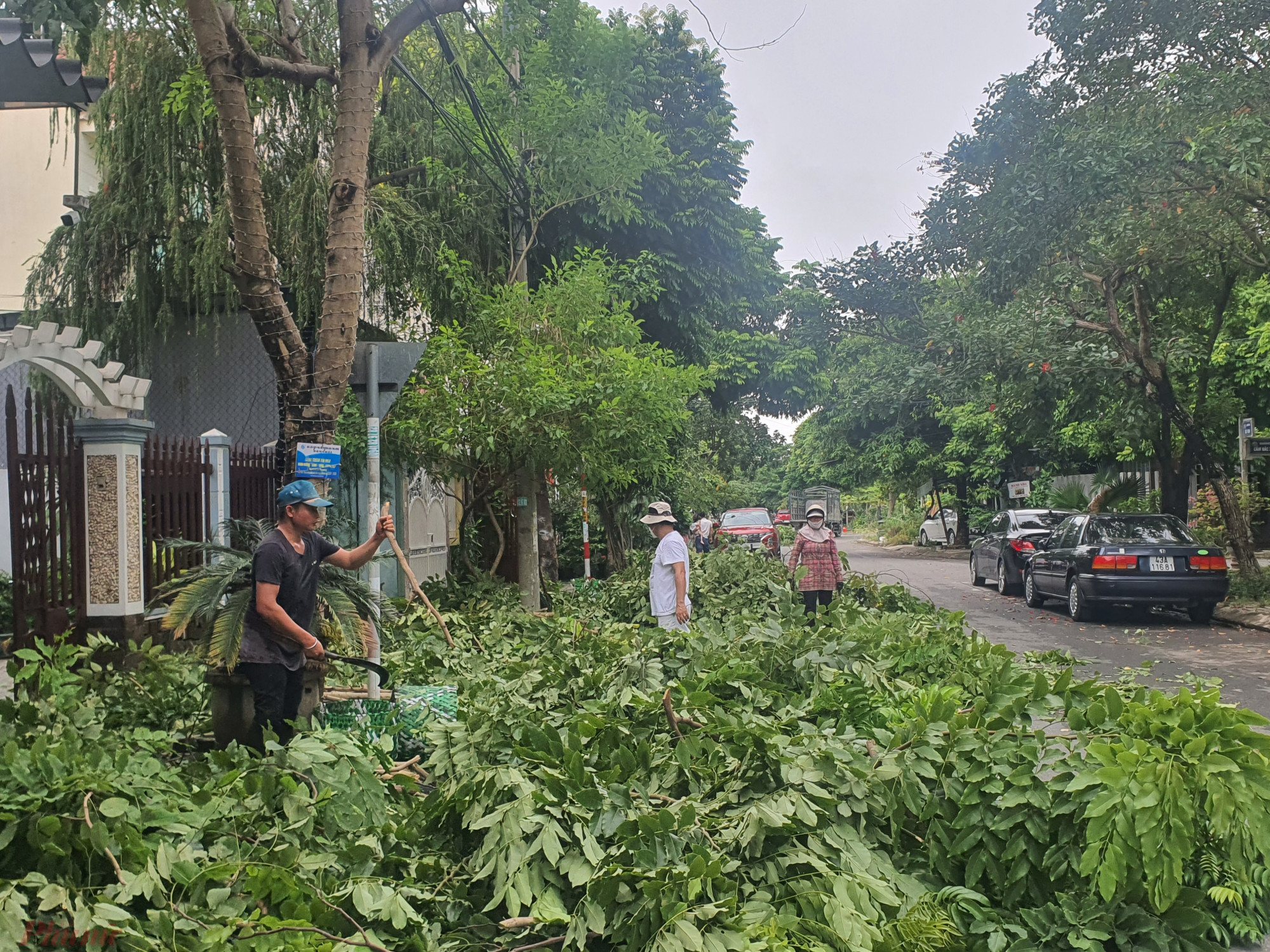 Người dân chặt tỉa cây xanh hạn chế gãy đổ do mưa bão