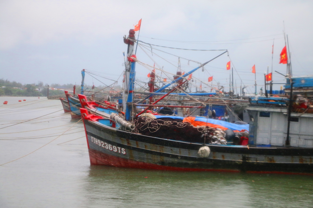 Trên âu thuyền xã Phú Hải theo thống kê có hơn 20 phương tiện tàu thuyền của các đại phương miền Trung đang neo đậu tại đây