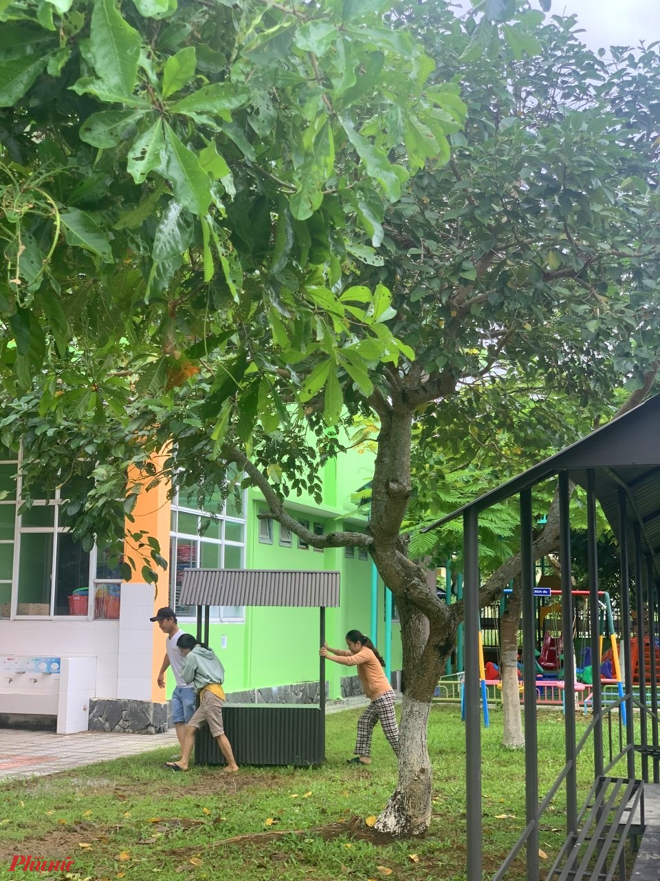 Bên cạnh đó các cô giáo còn nhận được sự hỗ trợ của người dân đại phương trong việc dọn dẹp, chặt tỉa cây xanh trong khuôn viên sân trường
