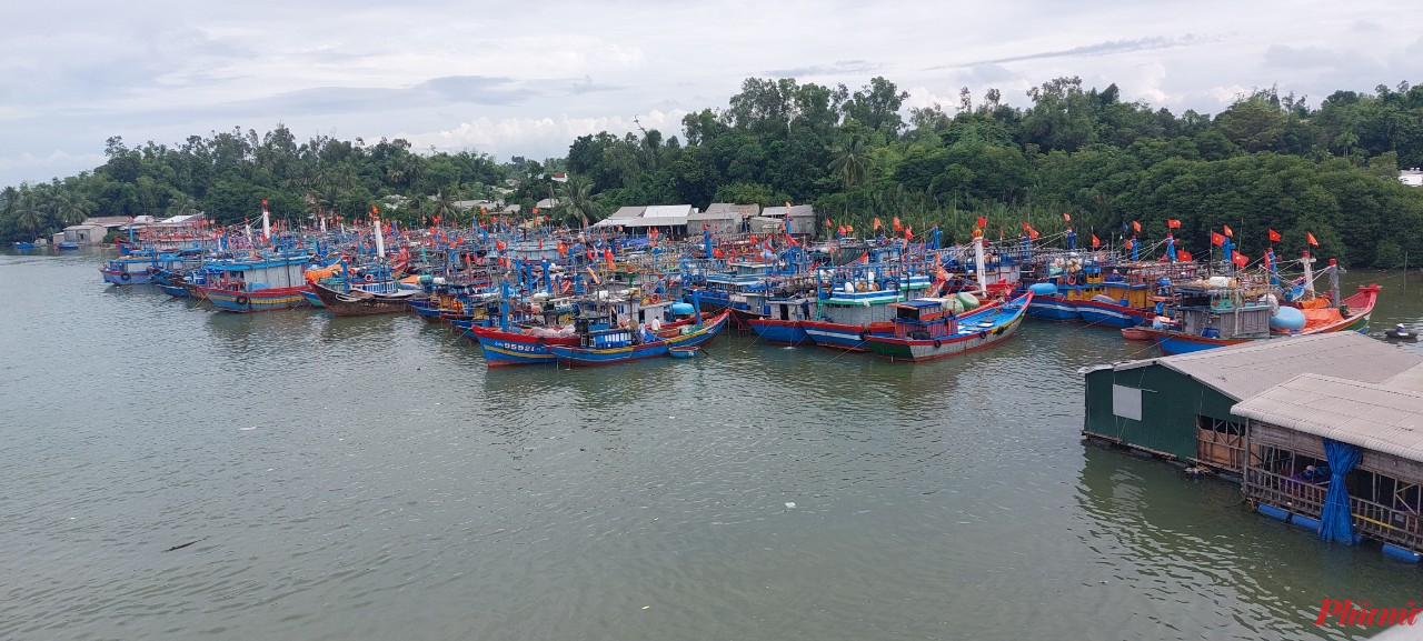 Tàu thuyền về neo đậu tại khu vực cầu Trà Bồng, xã Bình Đông, huyện Bình Sơn