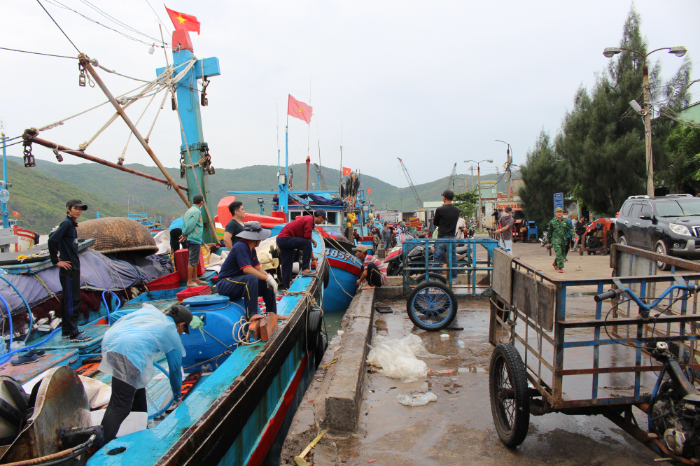 Ngư dân hối hả chuẩn bị dọn dẹp, đưa tàu neo đậu để tránh bão tại Cảng cá Quy Nhơn vào ngày 26/9.