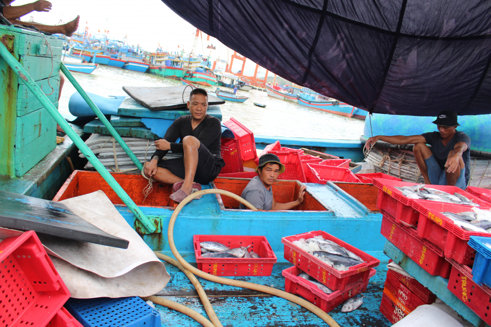 Ngư dân bán sản phẩm sau khi cấp bến để chuẩn bị lên bờ trú bão