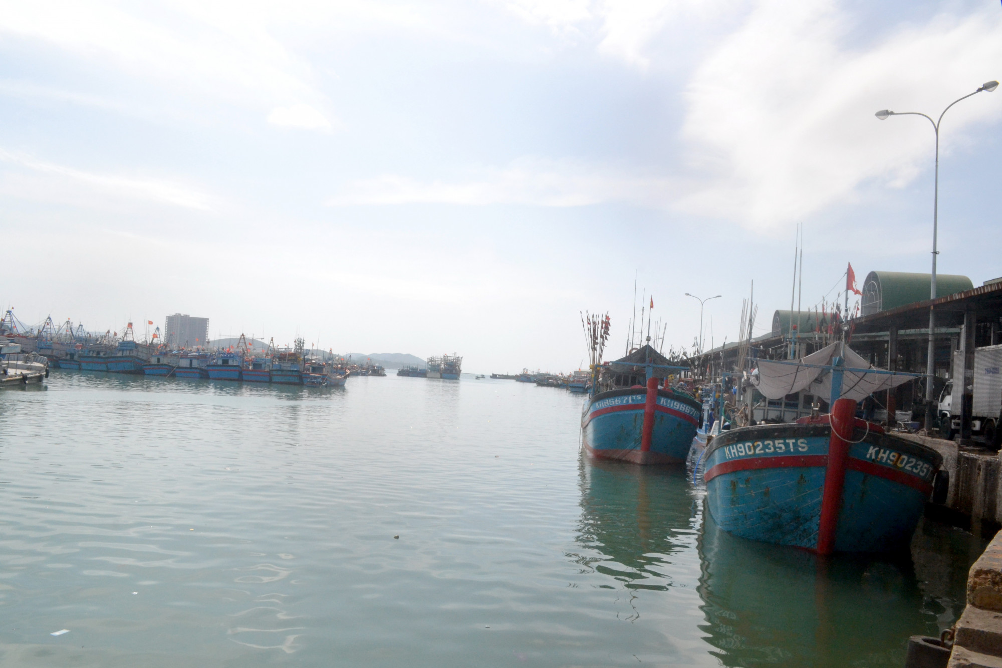Tỉnh Khánh Hòa thực hiện cấm tàu thuyền ra khơi đánh bắt thủy sản từ 16h ngày 26/7. Ảnh minh họa