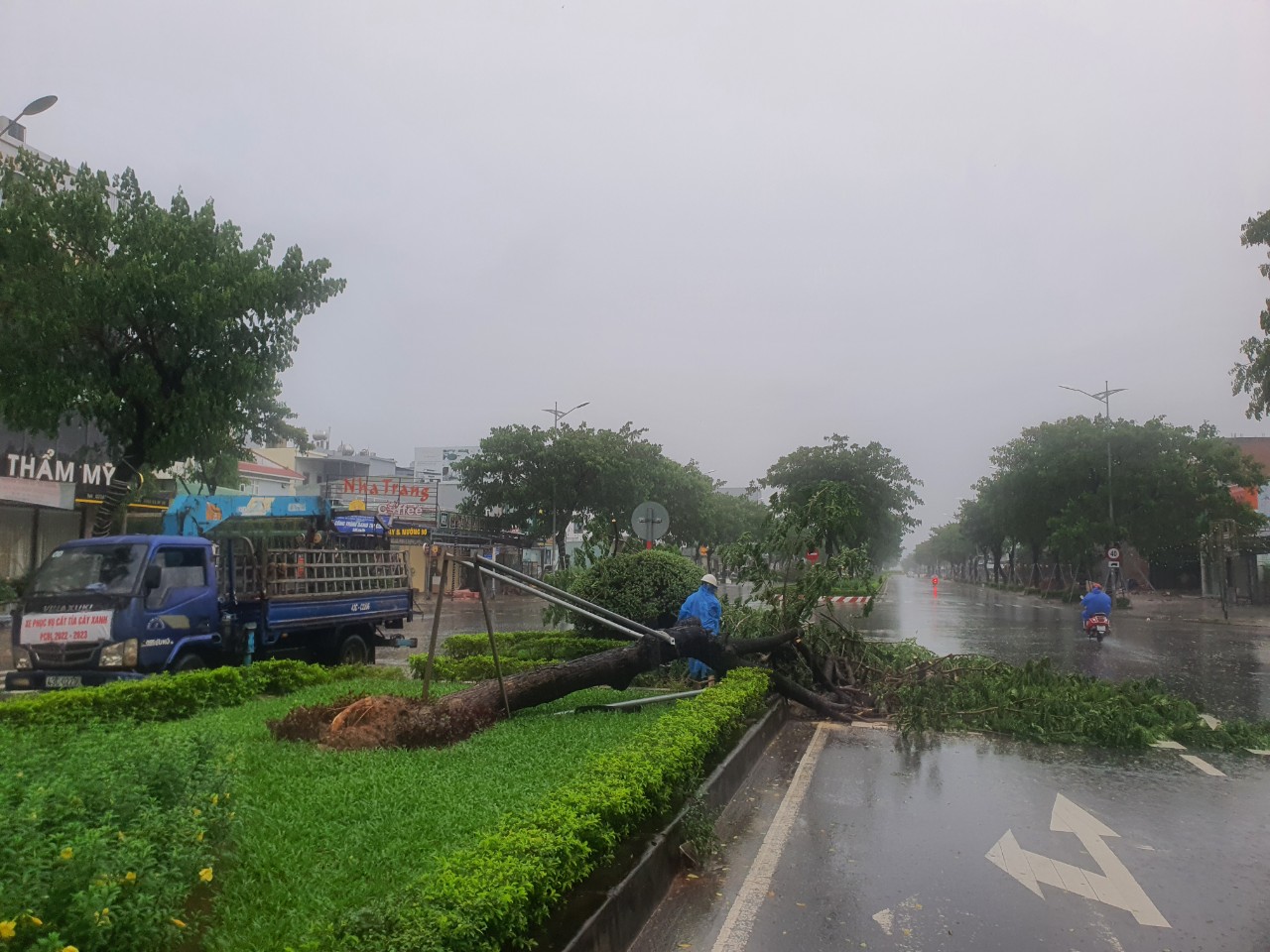 Cây xanh ngã đổ trên đường phố Đà Nẵng
