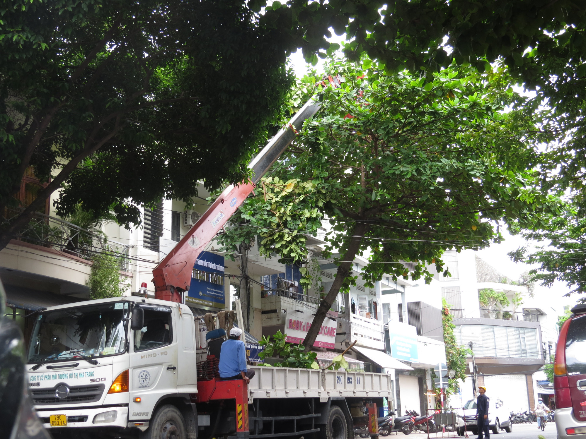 Công nhân môi trường đô thị cắt tỉa cây xanh trên các tuyến phố để đảm bảo an toàn