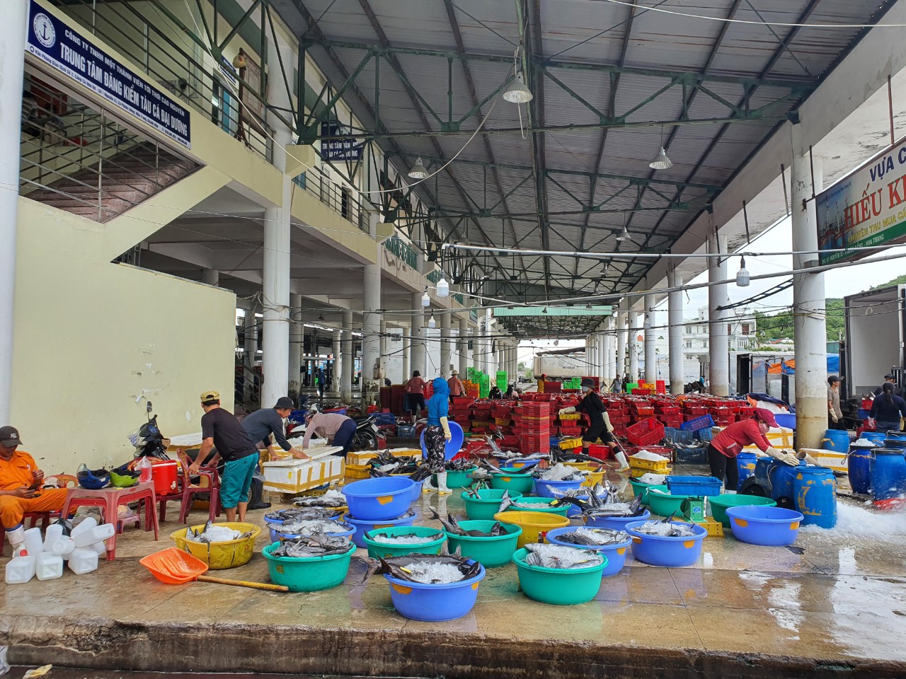 Nhiều ngư dân hối hả bán hải sản tại cảng Hòn Rớ, xã Phước Đồng, TP. Nha Trang, tỉnh Khánh Hòa và neo đậu thuyền để tránh bão