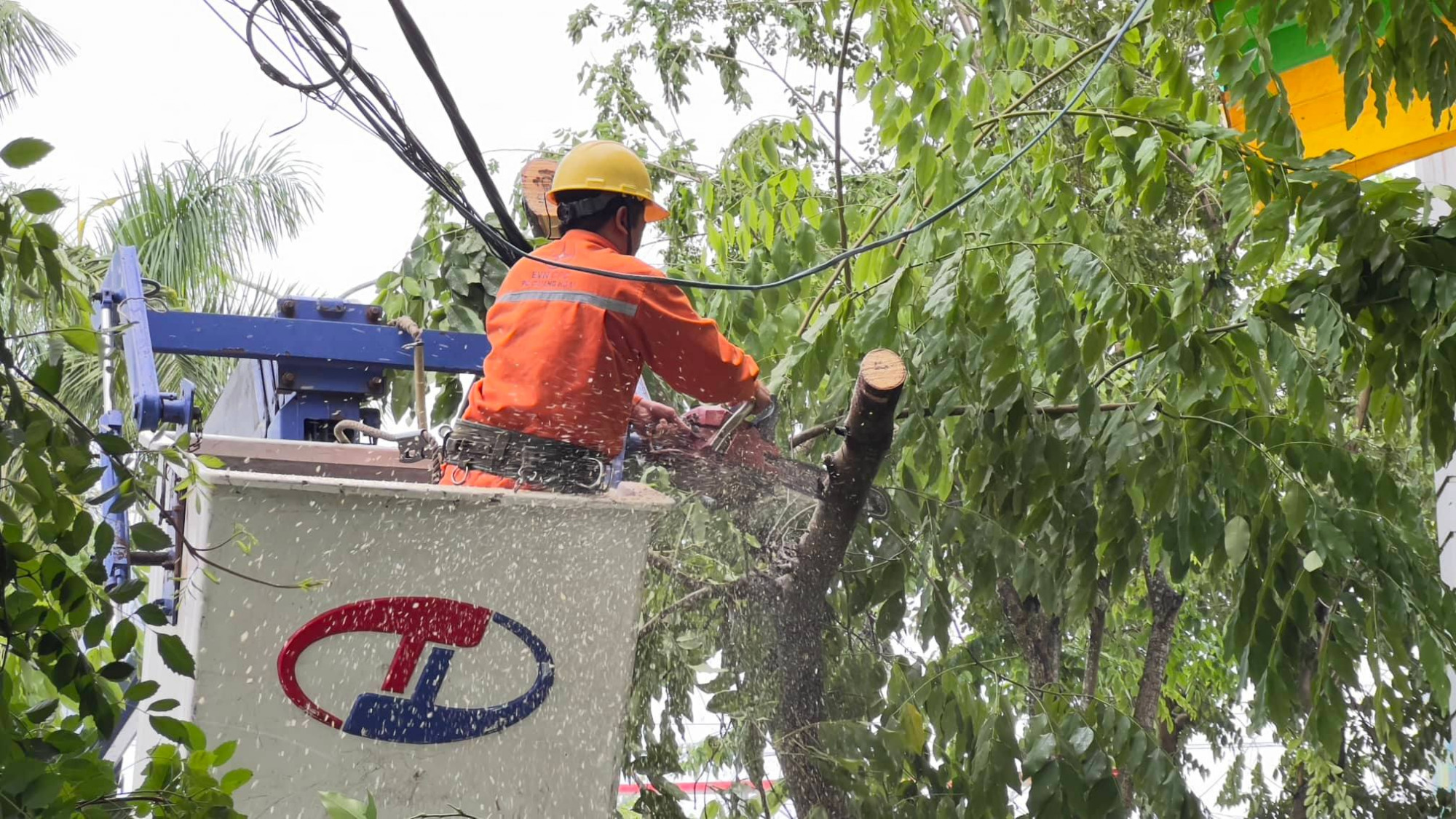 Công nhân Điện lực Quảng Ngãi đang khắc phục đường dây bị cây ngã đổ
