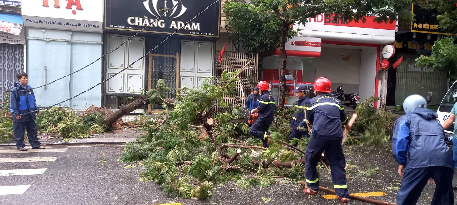 Giúp dân dọn dẹp cây xanh ngã đổ tại đường Bến Nghé TP.Huế