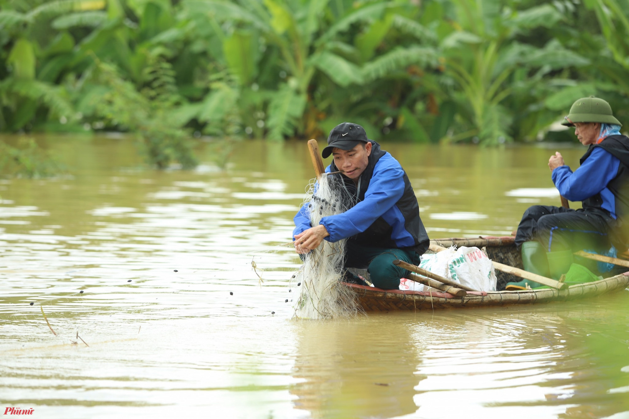 Tại huyện Anh Sơn (Nghệ An), nước lũ dâng cao đã khiến nhiều ao hồ nuôi cá trên địa bàn bị ngập. Lợi dụng thời điểm nước lũ về, nhiều người dân tranh thủ mang theo lưới, vó… ra những cánh đồng ngập băng màu nước bạc để đánh bắt cá.