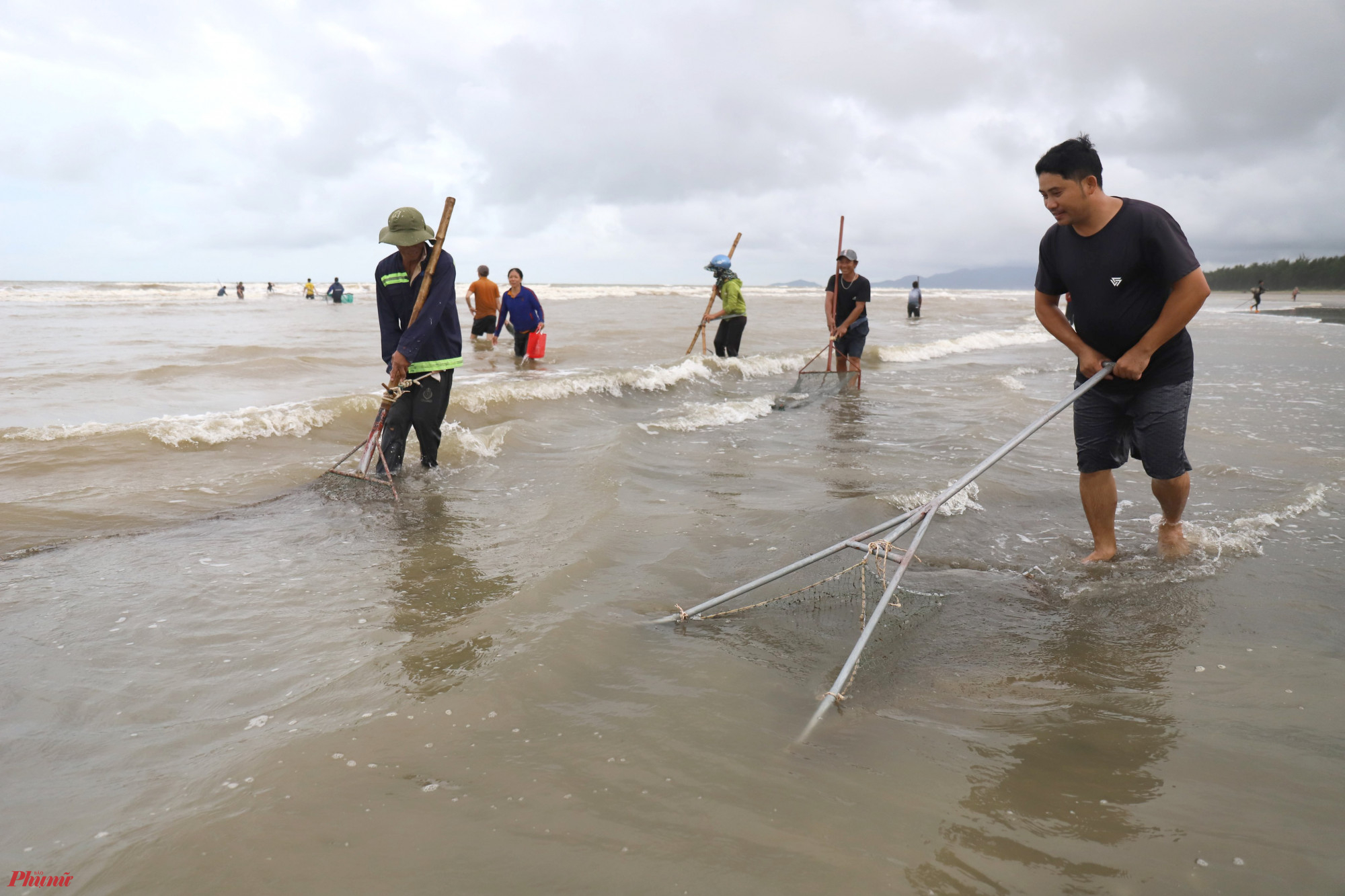 Sò lông trôi dạt vào bờ có kích thước vừa và nhỏ. Họ tập trung thành từng nhóm 3-5 người, dùng vợt lưới, rổ, xô chậu để nhặt sò trôi dạt vào bờ biển.