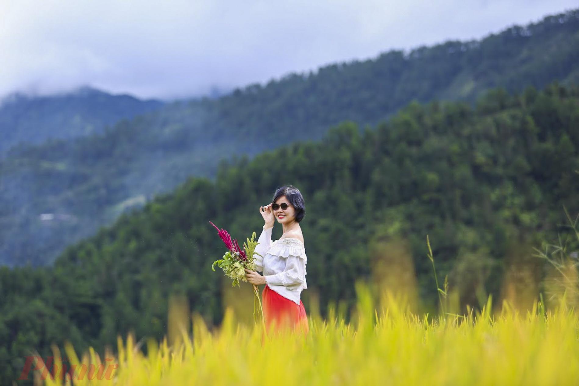 Lên đồi mâm xôi ngắm tranh mùa vàng