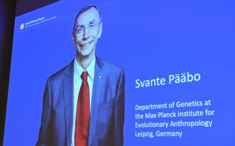 Một màn hình hiển thị người chiến thắng giải Nobel Sinh lý học - Y học năm 2022 Svante Paabo của Thụy Điển