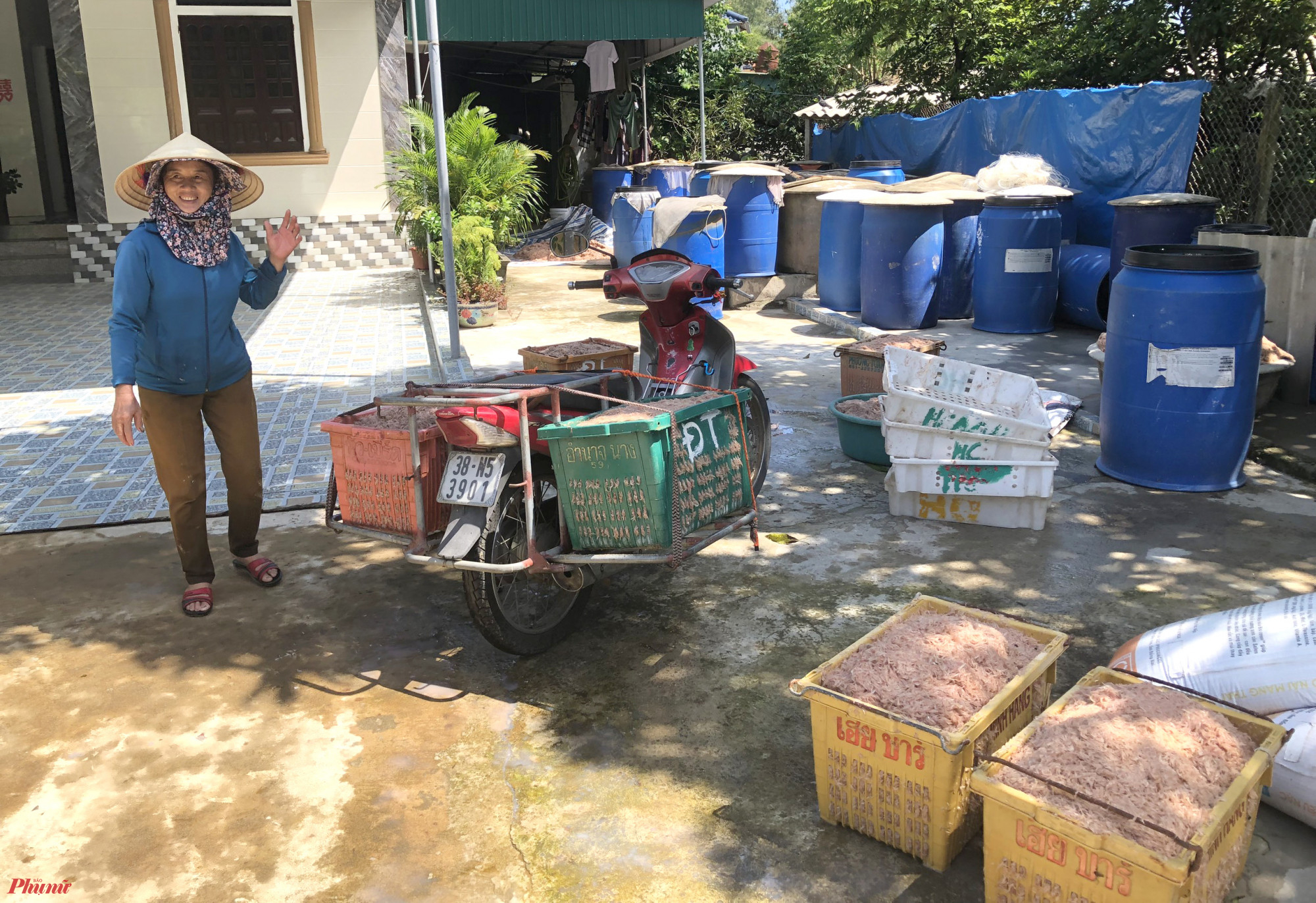 Bà Nguyễn Thị Bưởi (thôn Nam Hải) cho biết, gia đình bà có cơ sở thu mua, chế biến hải sản tại địa phương. Mấy hôm nay bà ra tận bờ biển chờ để thu mua tép ngư dân vừa đánh bắt xong, chỉ riêng trong sáng 6/10, bà đã mua hơn 1 tấn tép.